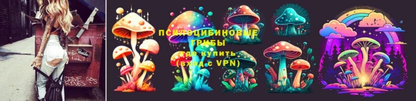 мяу мяу мука Белокуриха