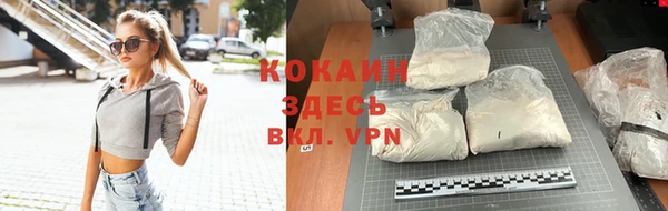 мяу мяу мука Белокуриха