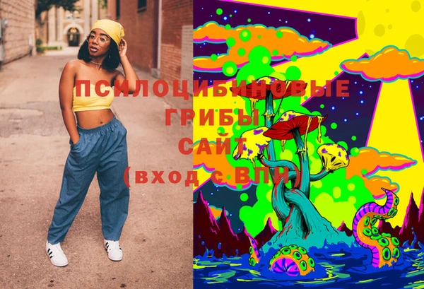 мяу мяу мука Белокуриха