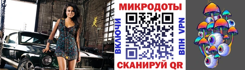 Псилоцибиновые грибы Psilocybe Дагестанские Огни