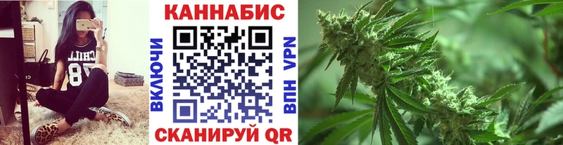 Каннабис Amnesia  Дагестанские Огни 